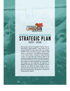 CLA_StrategicPlan25-28WEB_Page_1
