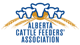 Alberta-Cattle-Feeders