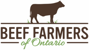 Beef-Farmers-Ontario