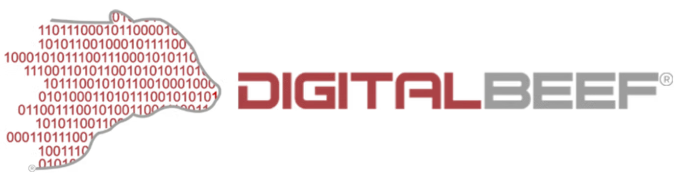 Digital-Beef