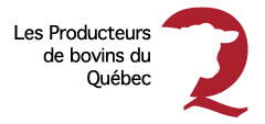 Quebec-Cattle
