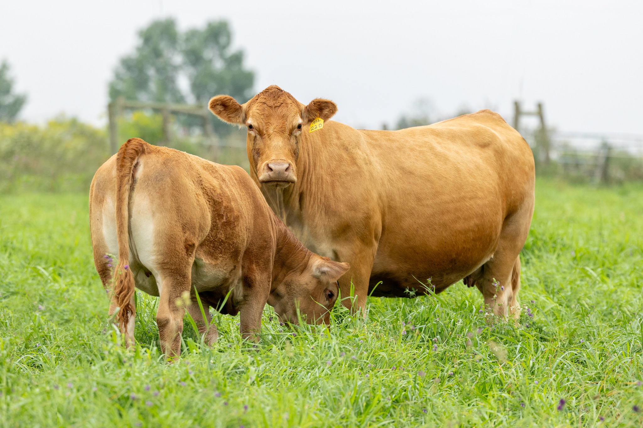 370051209_782465983883280_8616991468317777976_n