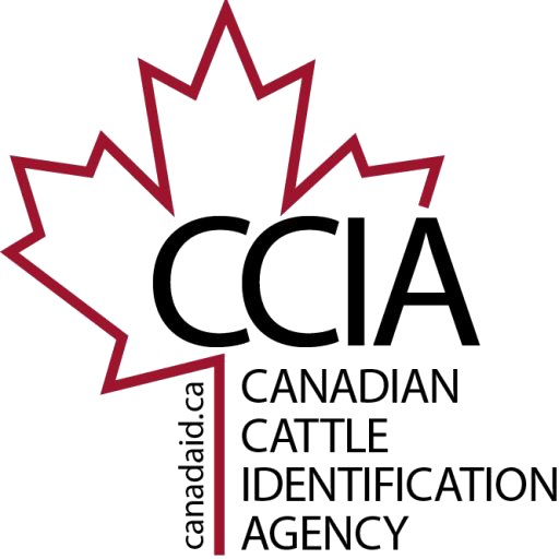 cropped-CCIA-logo-jpg